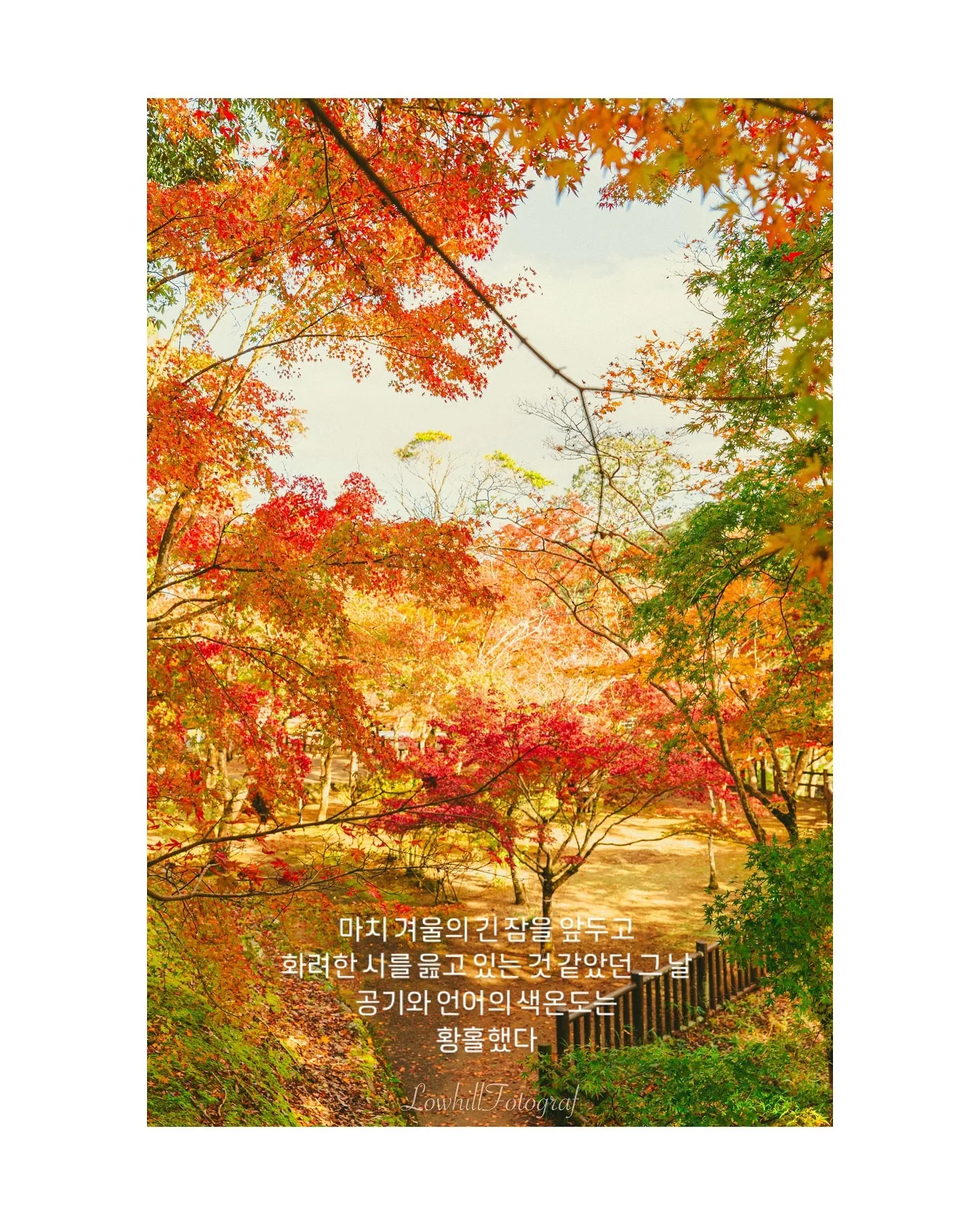 daily footo. kagoshima (鹿児島)

긴 겨울잠을 앞두고 화려한 시를 읊던 그 날
공기와 언어의 색온도

place : sogi fall (曽木の滝)

#曽木の滝 #sogifall #travel #kagoshimajapan #kagoshima #가고시마 #일본여행 #낮은언덕스튜디오 #낮은언덕사진관 #가을 #단풍 #스냅사진 #풍경사진 #감성사진